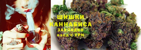 мдпв Пересвет