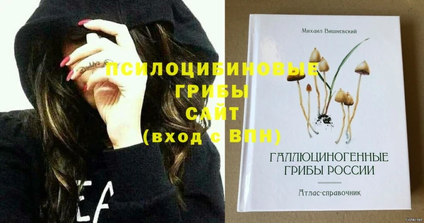 мдпв Пересвет