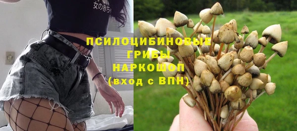 мдпв Пересвет