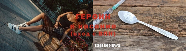 прущие грибы Всеволожск