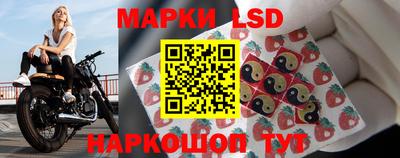 МДПВ Волгодонск