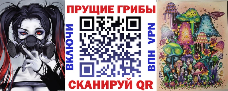 что такое   Вязьма  Галлюциногенные грибы MAGIC MUSHROOMS 